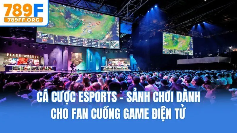 Cá Cược Esports - Sảnh Chơi Dành Cho Fan Cuồng Game Điện Tử