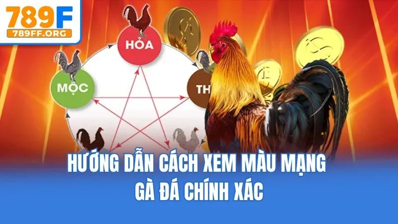 Hướng dẫn cách xem màu mạng gà đá chính xác