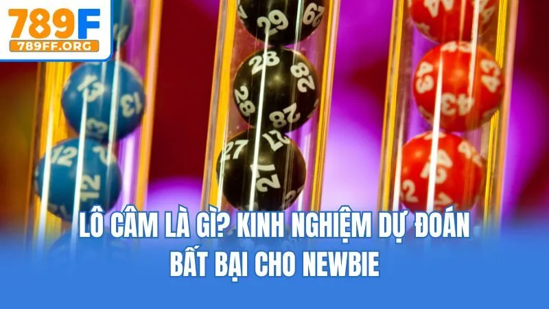Lô Câm Là Gì? Kinh Nghiệm Dự Đoán Bất Bại Cho Newbie