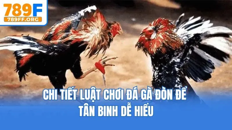 Chi tiết luật chơi đá gà đòn để tân binh dễ hiểu
