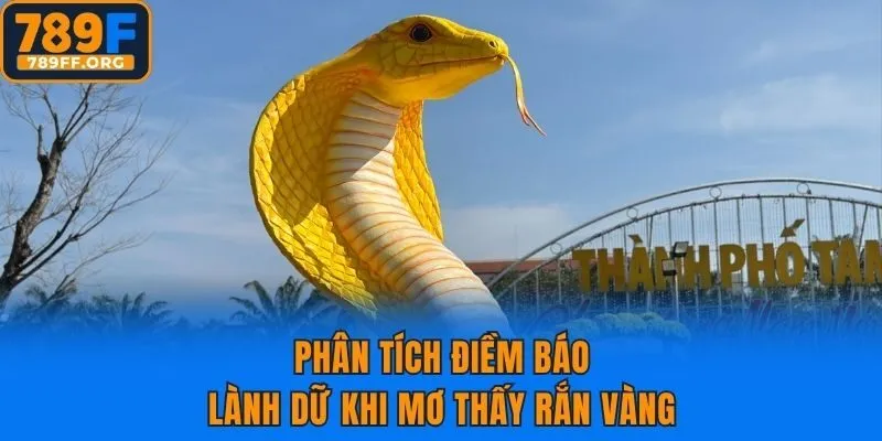 Phân tích điềm báo lành dữ khi mơ thấy rắn vàng